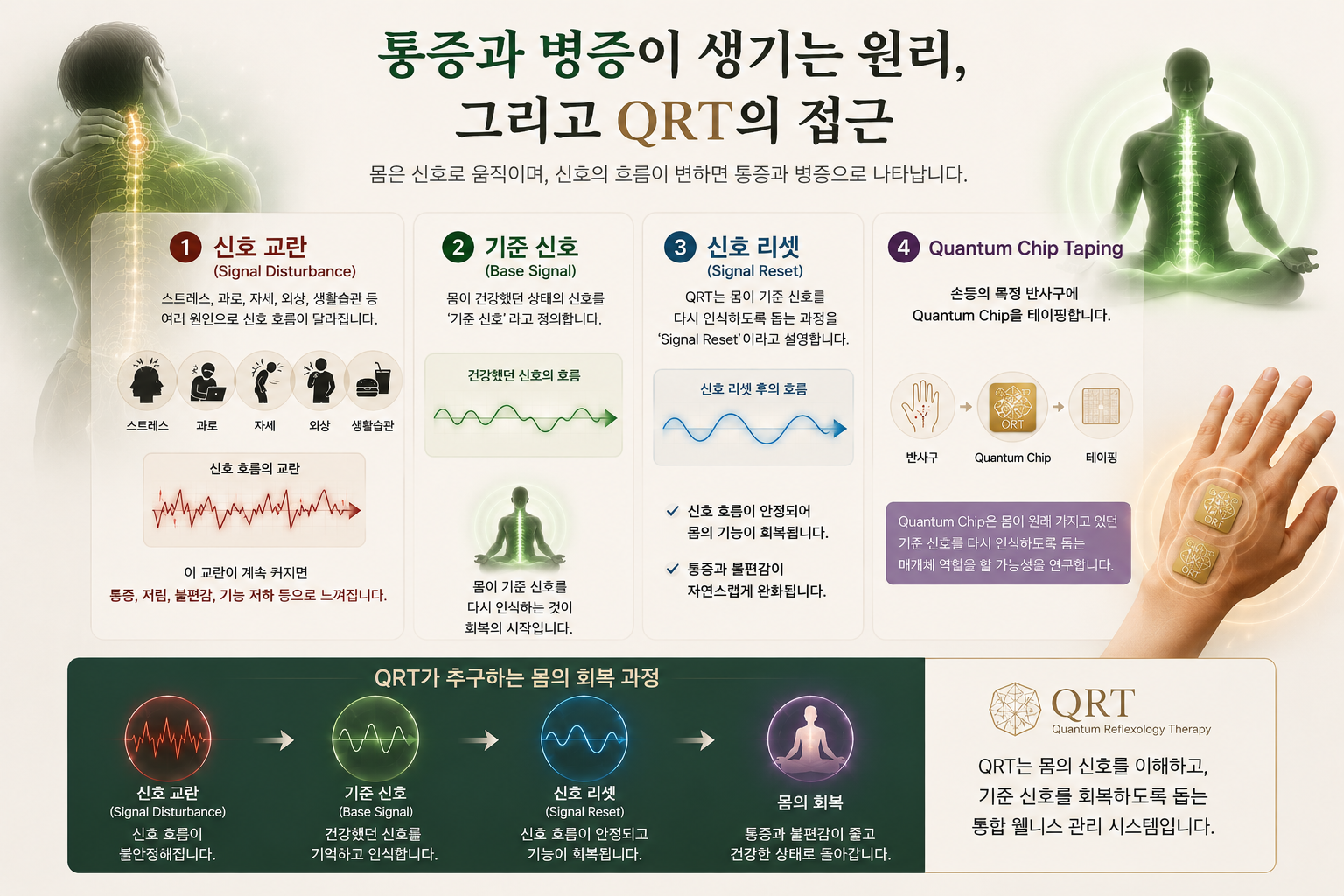 통증과 병증이 생기는 원리, 그리고 QRT의 접근 — 신호 교란, 기준 신호, 신호 리셋, Quantum Chip Taping 4단계 인포그래픽